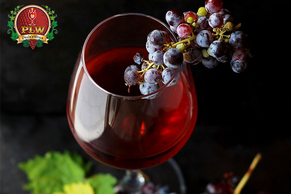 co-phai-ruou-vang-cang-lau-nam-cang-ngon